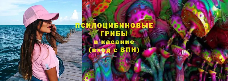 где купить наркотик  мега как войти  Псилоцибиновые грибы Magic Shrooms  Владимир 